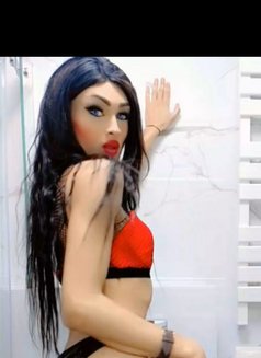 DANA «ست» - Transsexual escort agency in Beirut Photo 28 of 28
