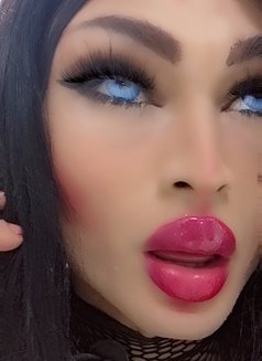 DANA «ست» - Transsexual escort agency in Beirut Photo 16 of 27