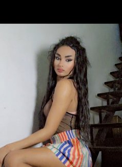Dana. مساج - Transsexual escort in Beirut Photo 6 of 10