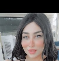 Dana Lebanon - Transsexual escort in Erbil