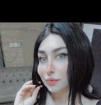 Dana Lebanon - Acompañantes transexual in Erbil