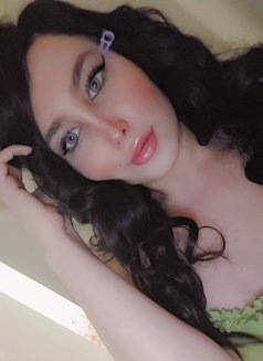 Dana Lebanon - Acompañantes transexual in Mississauga Photo 4 of 5