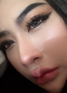 Dana New Girl Available - puta in Al Manama Photo 19 of 25