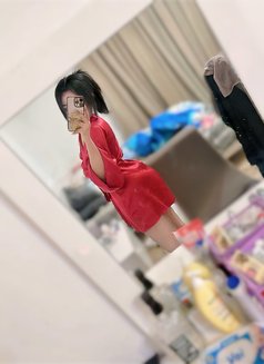 Dana New Girl Available - escort in Al Manama Photo 28 of 28