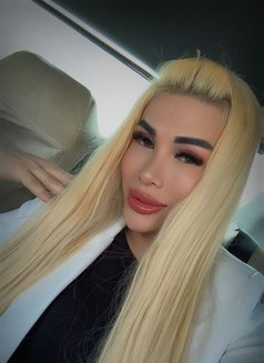 20DİCK NEW 🇷🇺🇷🇺🇷🇺 - Transsexual escort in Riyadh Photo 14 of 14