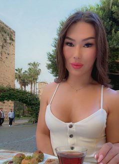 Dana Rai - Acompañantes transexual in Antalya Photo 26 of 26