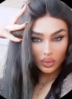 DANA.set - Transsexual escort agency in Beirut Photo 4 of 4