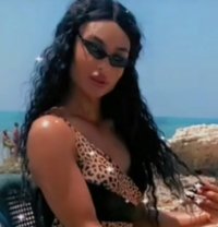 Dana St - Transsexual escort in Beirut