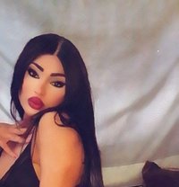 Dana ST - Transsexual escort in Beirut