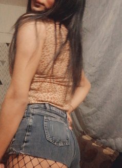 Dana ST - Acompañantes transexual in Beirut Photo 19 of 20