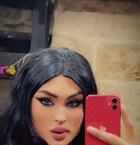 Dana ST - Transsexual escort in Beirut