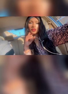 Dana ST - Transsexual escort in Beirut Photo 6 of 16