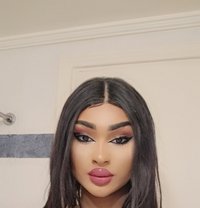 Dana ST - Transsexual escort in Beirut