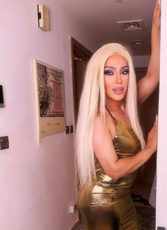 DANA SYRIAN IN DUBAI - Transsexual escort in Dubai Photo 14 of 16