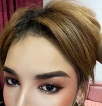 Dana 🇹🇭🇮🇹 - Transsexual escort in Bangkok