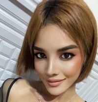 Dana 🇹🇭🇮🇹 - Acompañantes transexual in Bangkok