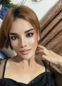 Dana 🇹🇭🇮🇹 - Acompañantes transexual in Bangkok Photo 3 of 22