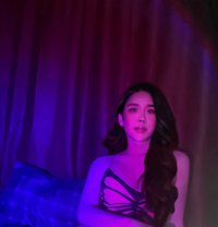 Danaaa Lady Boy Thailand - masseuse in Muscat