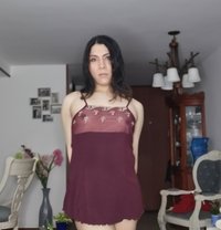 Dandi D - Transsexual escort in Bogotá