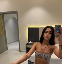 Dani - Transsexual escort in Riyadh