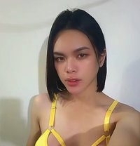 Dani Dani - Transsexual escort in Jeddah