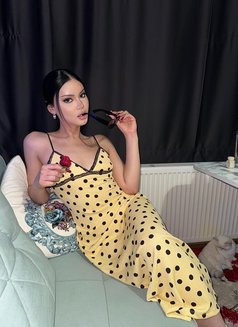 🇷🇺 Dani̇la 🇷🇺 - Transsexual escort in İstanbul Photo 1 of 11