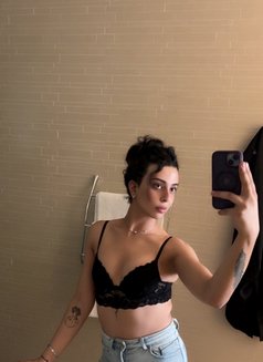 Dani1lyd - Transsexual escort in Amman Photo 12 of 13