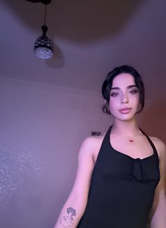 Dani1lyd - Transsexual escort in Riyadh Photo 1 of 5