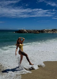 Emma Venezuelan agency Diversa - escort in Kuwait Photo 7 of 18
