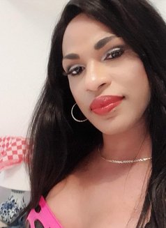 Daniela trans 🇨🇴 - Agencia de acompañantes transexuales in Ho Chi Minh City Photo 22 of 23