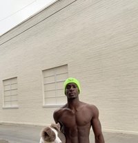 MIKE/BBC - Male adult performer in Dubai