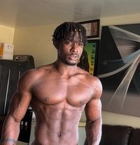 MIKE/BBC - Intérprete masculino de adultos in Dubai