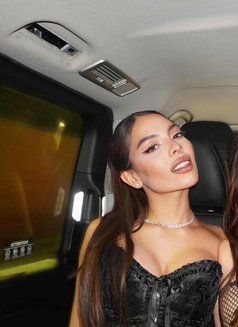 Daphne - escort in Dubai Photo 4 of 11