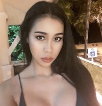 DaRa - Transsexual escort in Chiang Rai