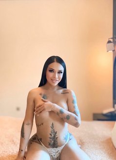 Dara V Sexy & Sweet Big Top Bottom Cum - Transsexual escort in Abu Dhabi Photo 16 of 24