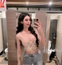 Daran - Transsexual escort in Chiang Mai