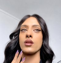 camshow Barbie 🇹🇳 - Transsexual dominatrix in Riyadh