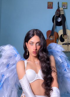 camshow Barbie πΉπ³ - Transsexual dominatrix in Riyadh Photo 14 of 30