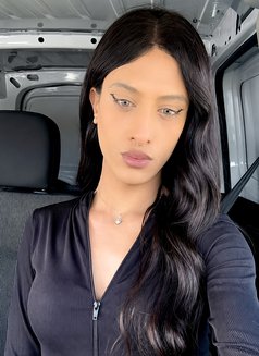 Dareen Online Services - Acompañantes transexual in Dubai Photo 9 of 20