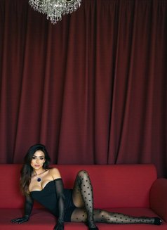 Daria Xl - Transsexual escort in Dubai Photo 10 of 11
