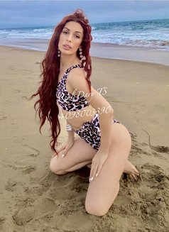 Dariana Latina - Transsexual escort in Pattaya Photo 5 of 5