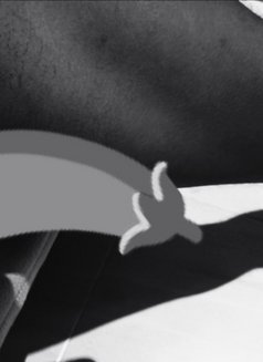 Dark Bull4 - Acompañantes masculino in Maldives Photo 4 of 4