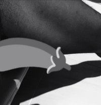 Dark Bull4 - Acompañantes masculino in Maldives