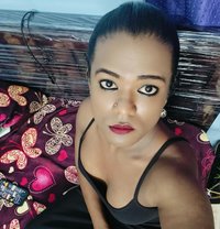 Dark Chocolate Bavya Shemale - Transsexual escort in Chennai
