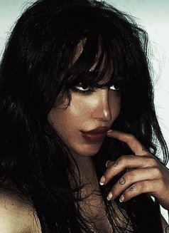 Dark Feminine 22c - Acompañantes transexual in Beirut Photo 2 of 2