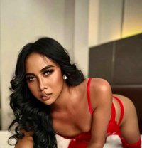 DARK HUGECOCK MISTRESS - Transsexual escort in Bangkok Photo 8 of 12