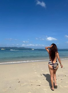 Darlene Philippines TS - Transsexual escort in Ko Samui Photo 16 of 19