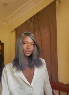 Dash Tropical - Acompañantes transexual in Mombasa Photo 3 of 3