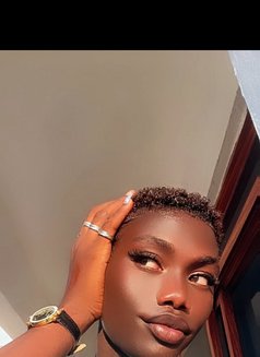 Dashy - Transsexual escort in Mombasa Photo 4 of 4