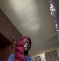 Dashy - Transsexual escort in Nairobi